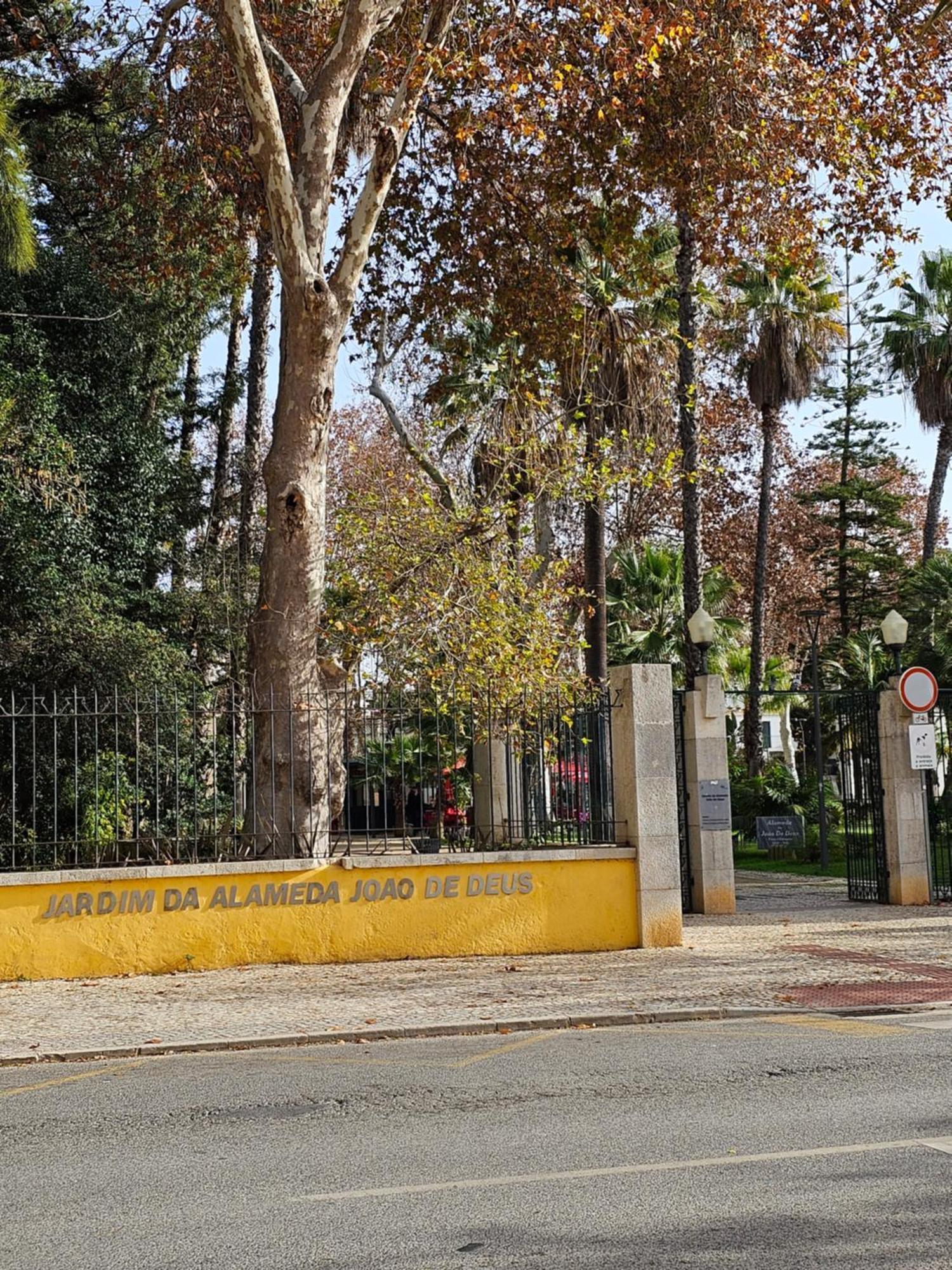 Casa Jasmim Διαμέρισμα Φάρο Εξωτερικό φωτογραφία